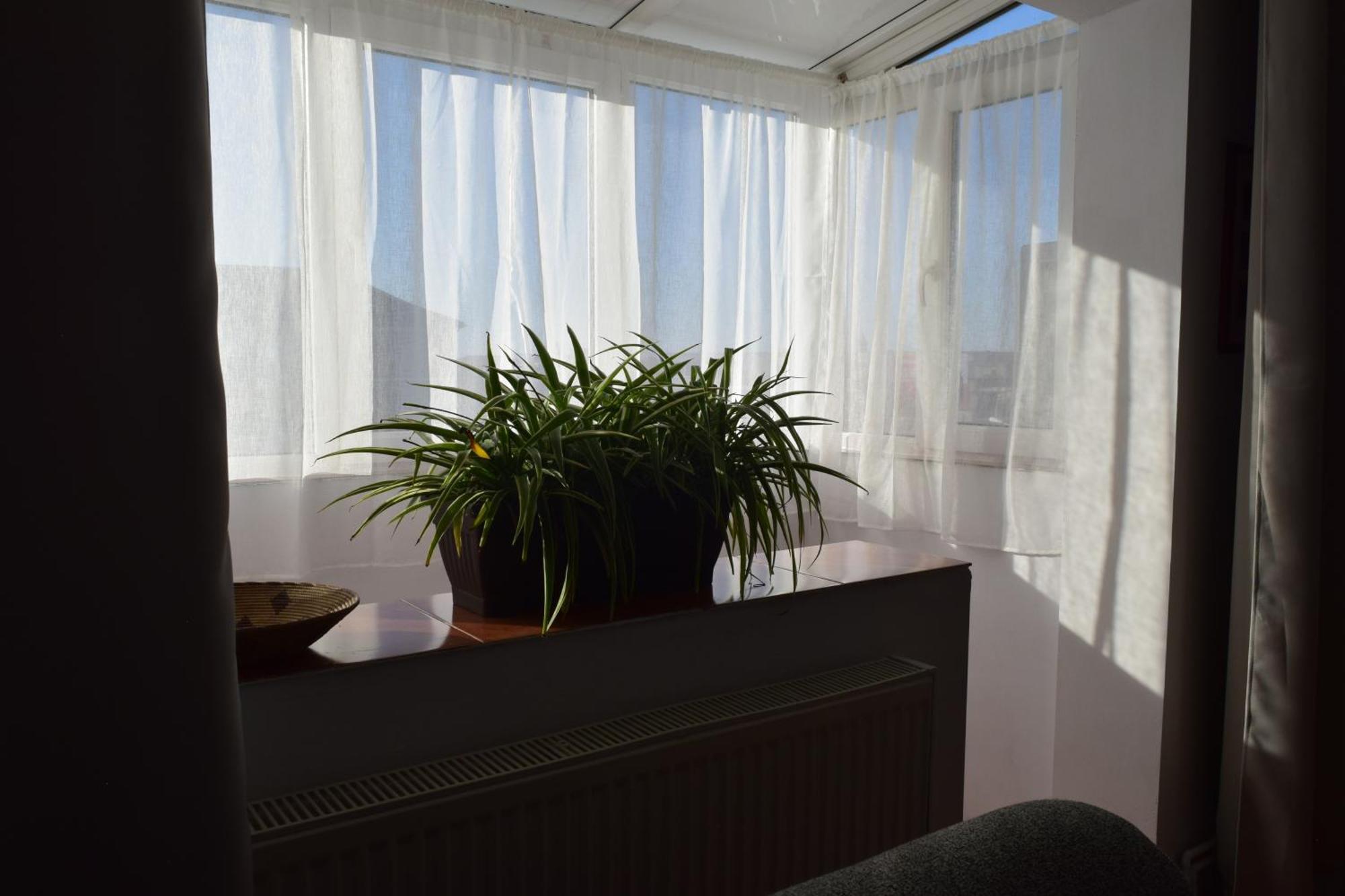Apartament Simina Τιμισοάρα Εξωτερικό φωτογραφία